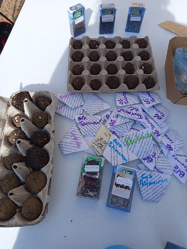Bombes à graines2